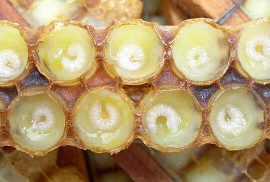 Royal Jelly hëlleft de Peniswachstum ze beschleunegen